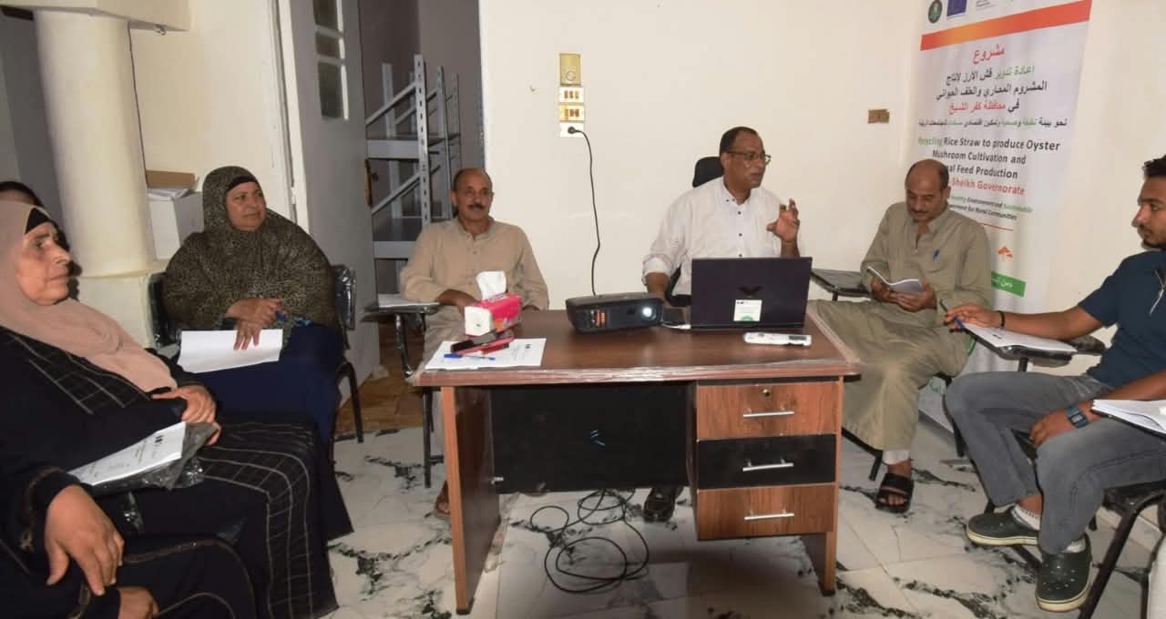 جامعة كفرالشيخ تدعم الاقتصاد الدائري.. مستشار رئيس الجامعة لشئون الابتكار وريادة الأعمال يقود تدريبًا متخصصًا لتحويل قش الأرز إلى «مشروم محاري» بمشاركة 50 مزارعًا ومزارعة