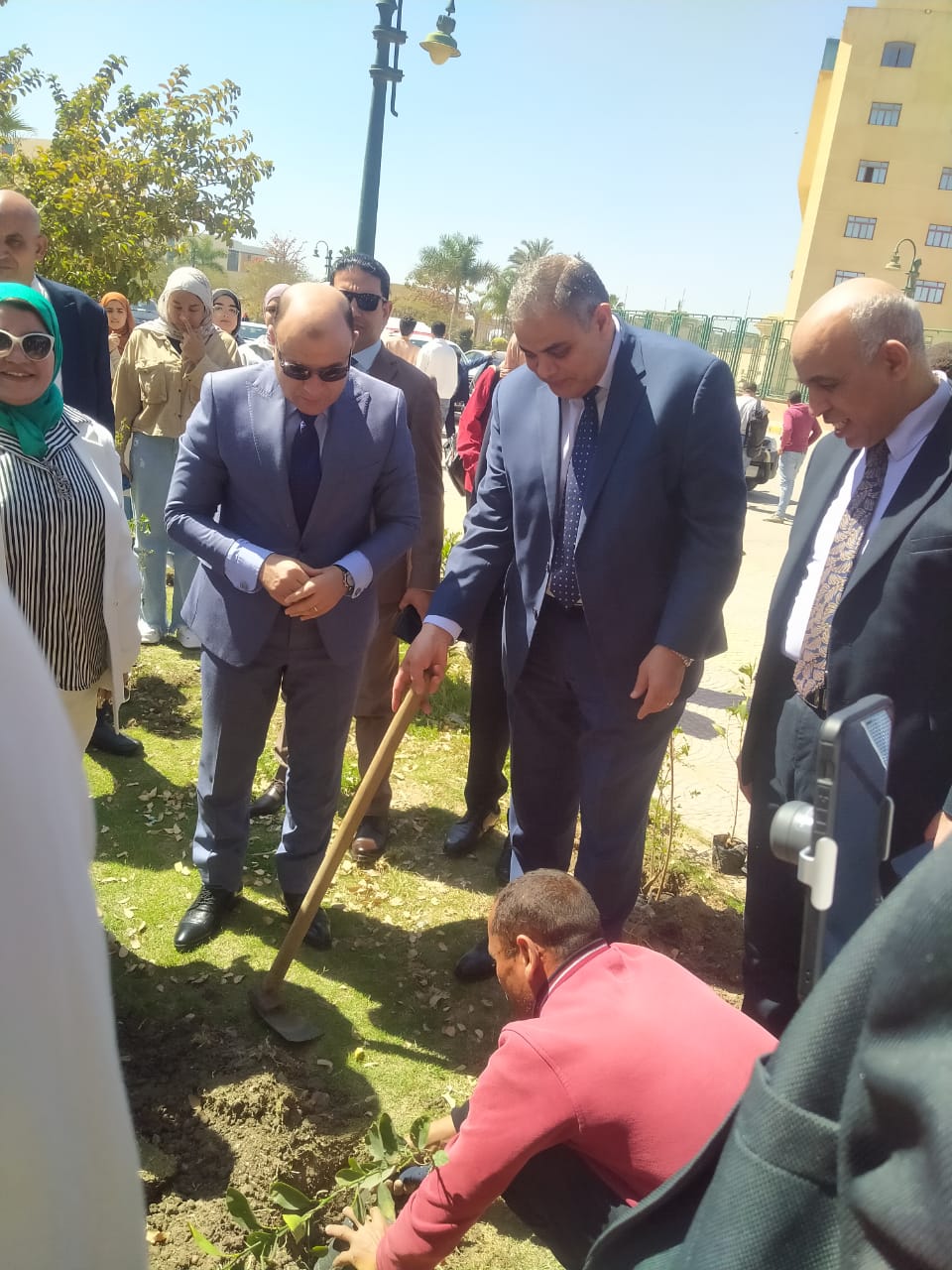 صورة