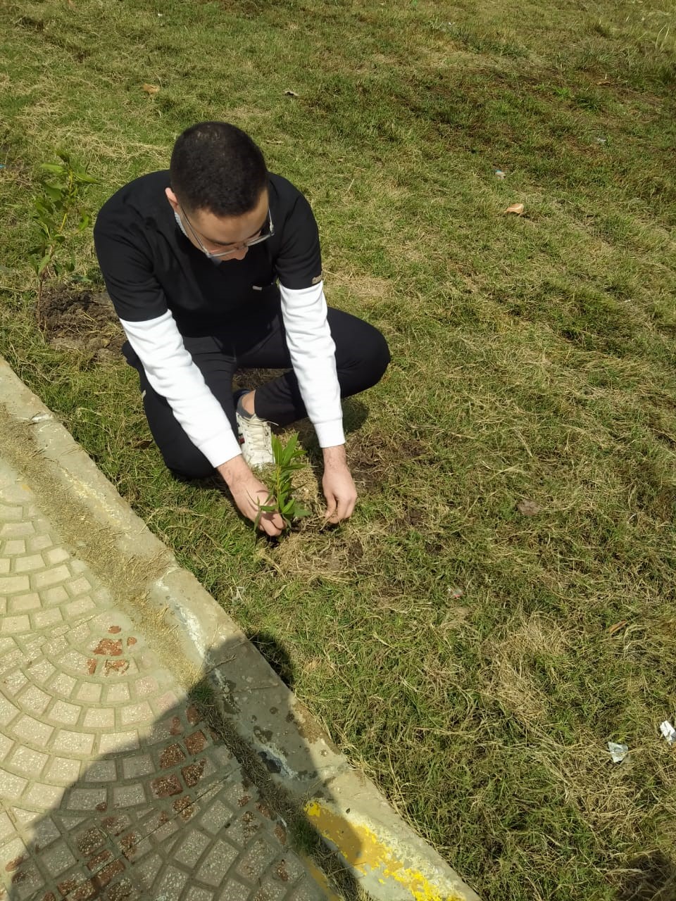 صورة