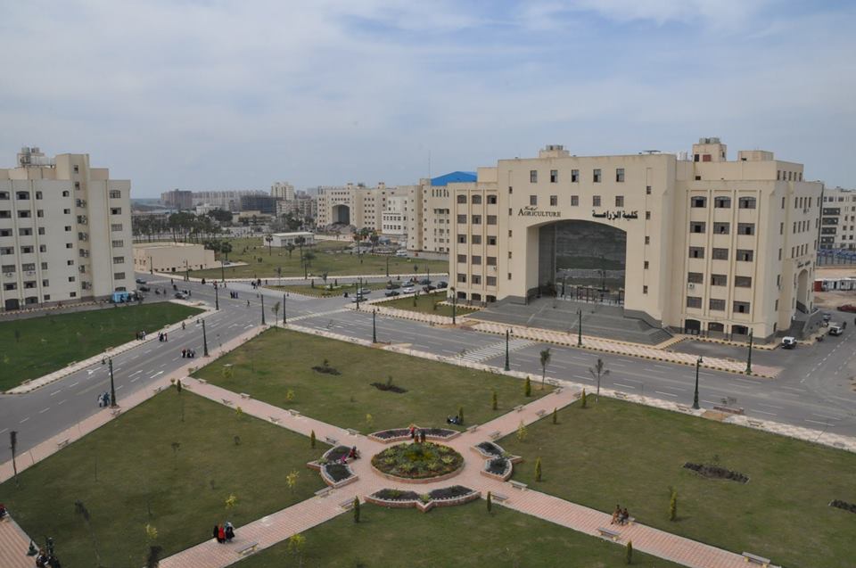 جامعة كفر الشيخ | Kafrelsheikh University